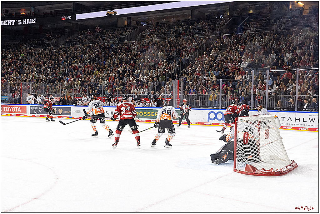PENNY DEL;  Kölner Haie - Grizzly Wolfsburg; Köln, 21.09.2022